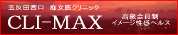 s㐫 CLI-MAX(NC}bNX)